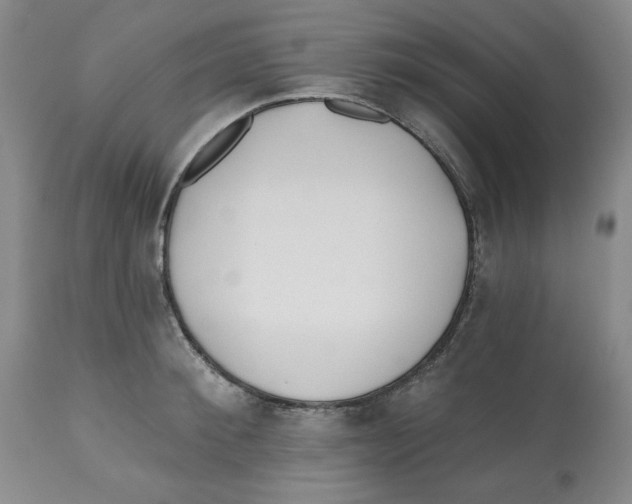 X0000112540900200909141309