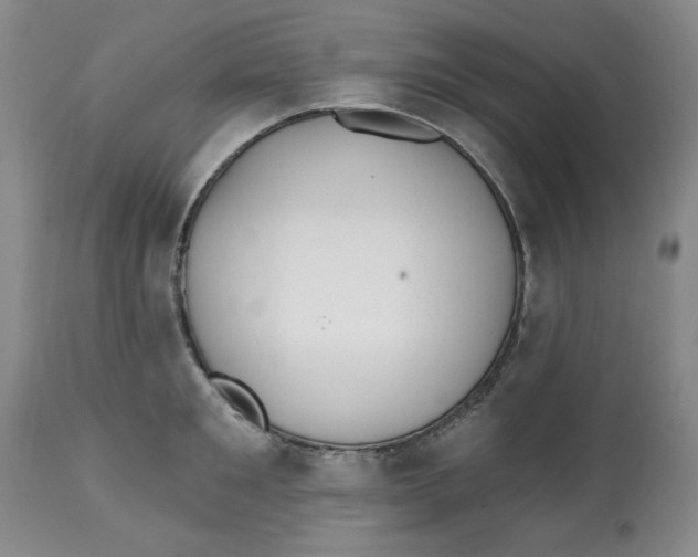 X0000112540901200909141309