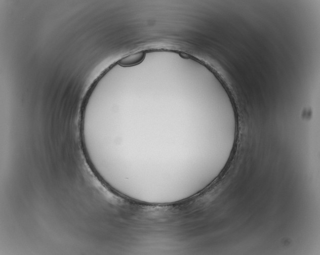 X0000112540902200909141309