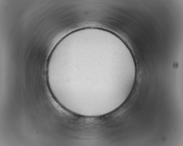 X0000112540903200909141309