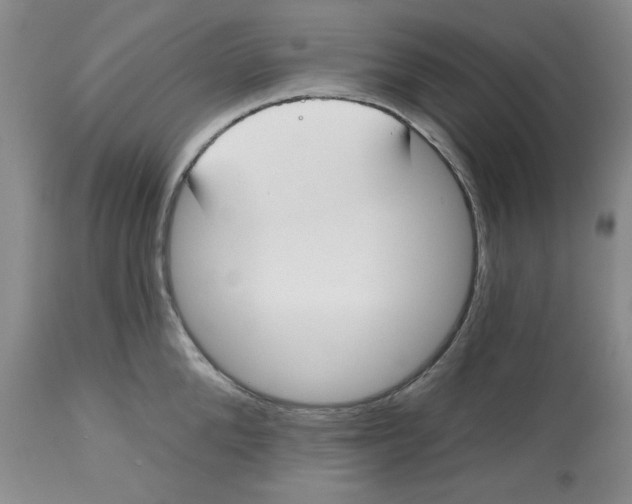 X0000112540904200909141309