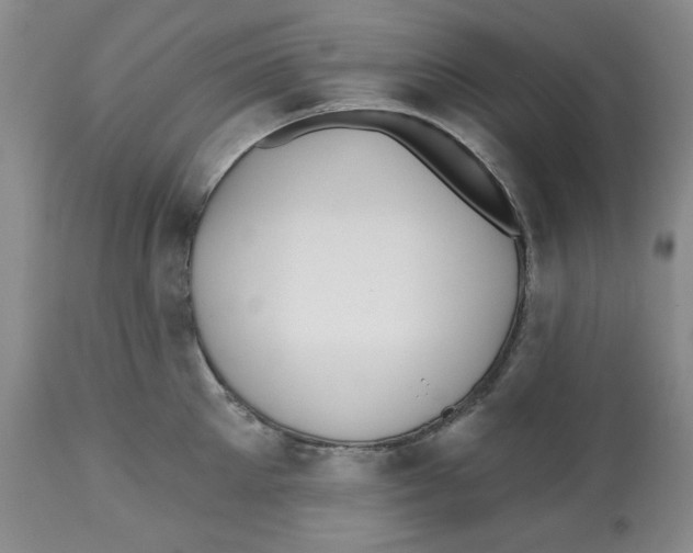 X0000112540905200909141309