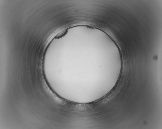 X0000112540906200909141309