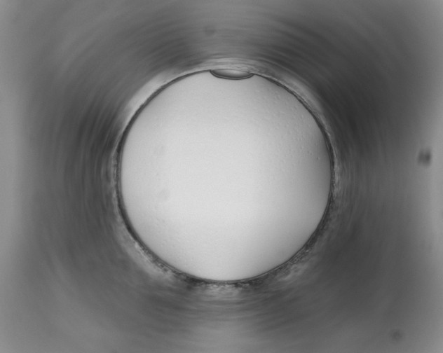 X0000112540907200909141309