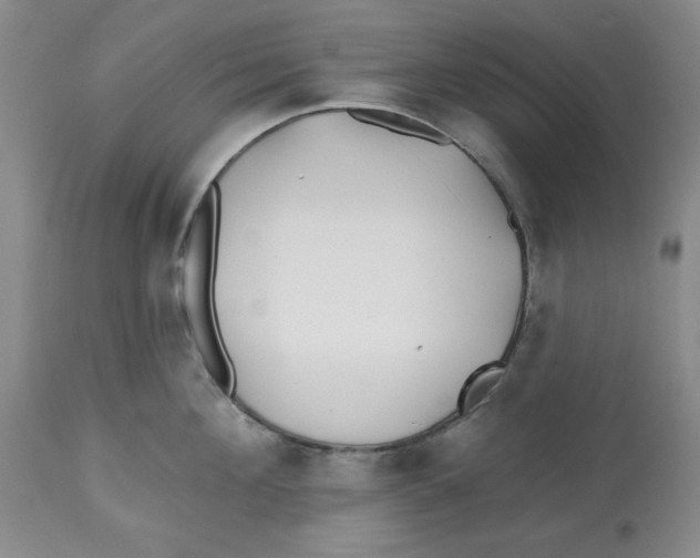X0000112540908200909141309