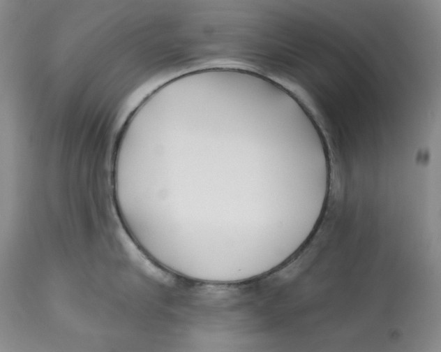 X0000112540910200909141309