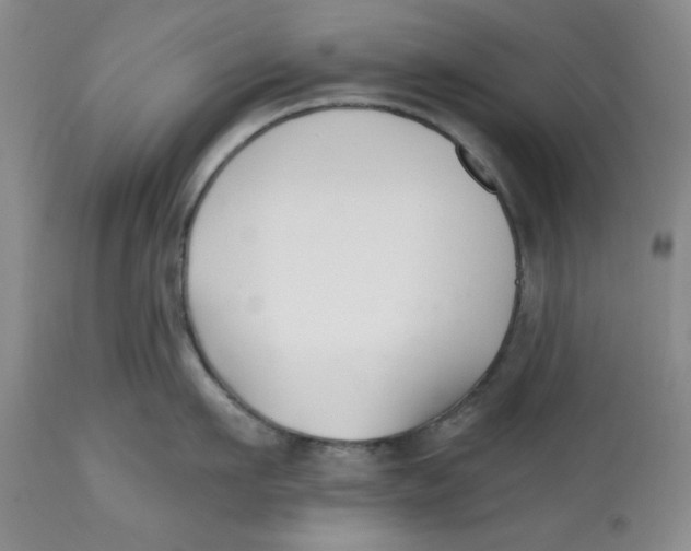 X0000112540911200909141309