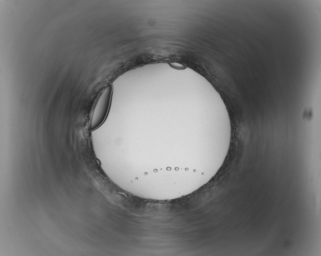X0000112540914200909141308