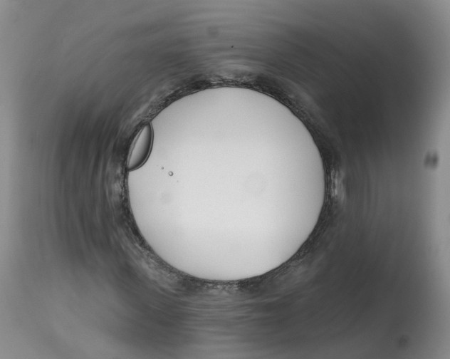 X0000112540915200909141308