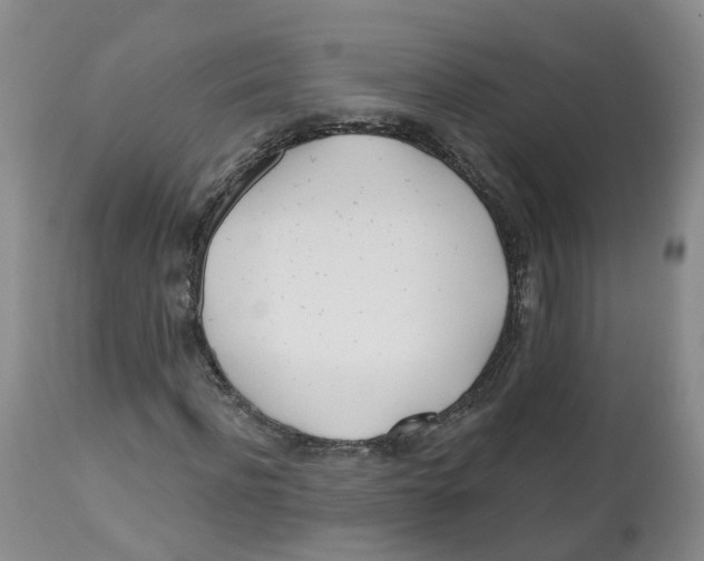 X0000112540916200909141308
