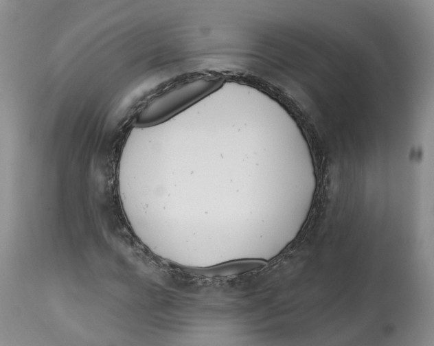 X0000112540920200909141308
