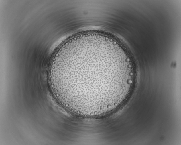 X0000112540921200909141308