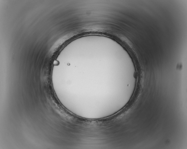 X0000112540922200909141308