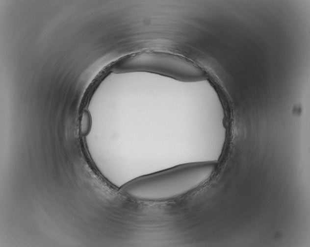 X0000112540924200909141308