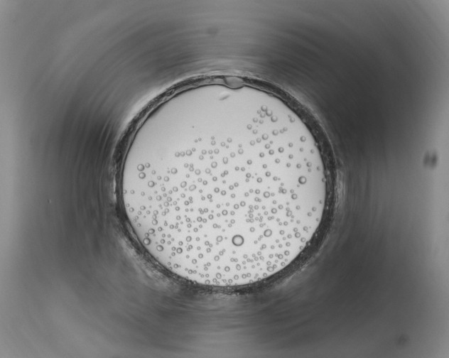 X0000112540925200909141308