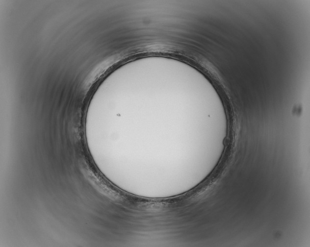 X0000112540930200909141308