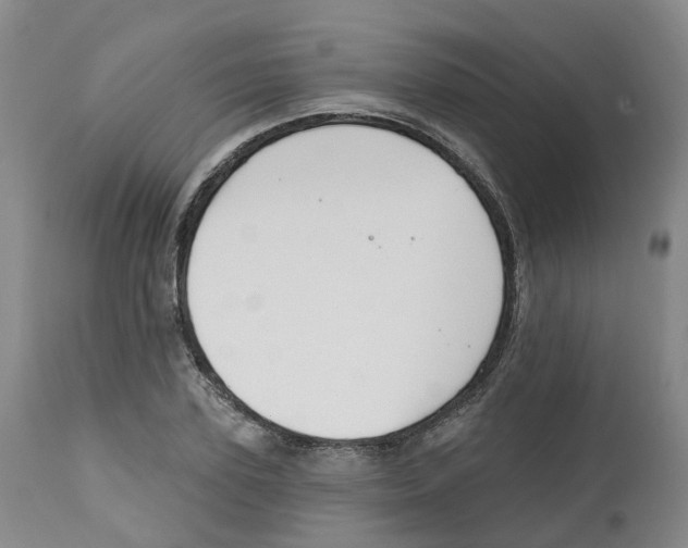 X0000112540931200909141308