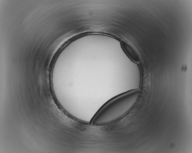 X0000112540932200909141308