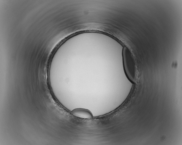 X0000112540936200909141308