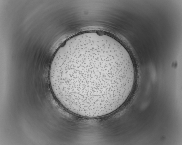X0000112540937200909141308