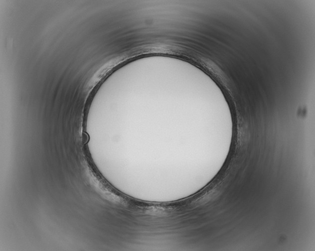 X0000112540938200909141309