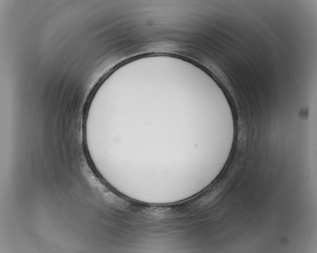 X0000112540939200909141309