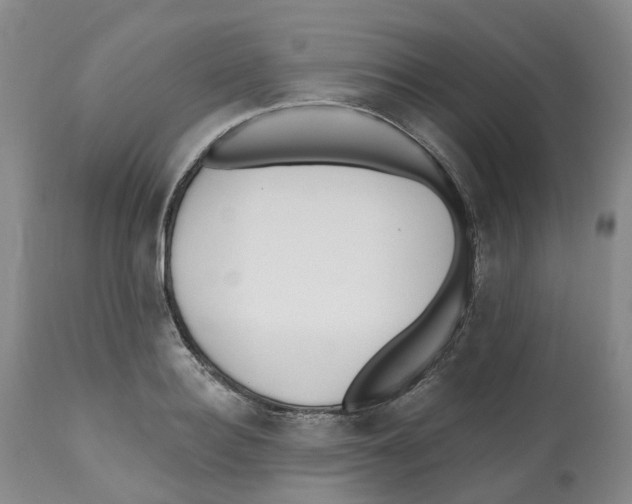 X0000112540940200909141309