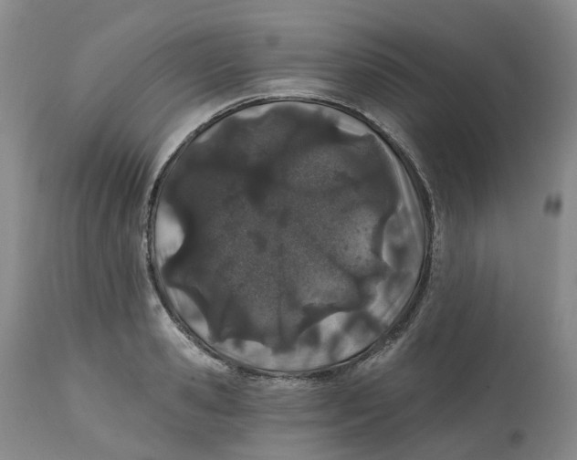 X0000112540941200909141309