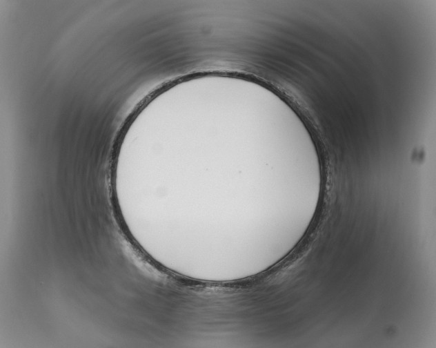 X0000112540942200909141309