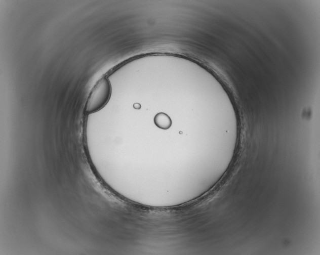 X0000112540944200909141309