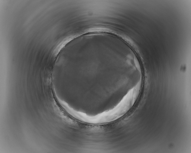 X0000112540945200909141309