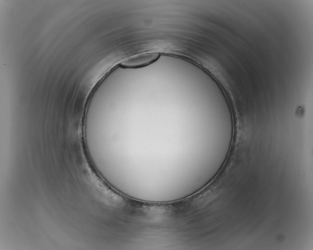 X0000112540946200909141309