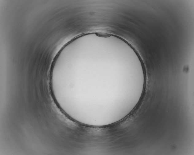 X0000112540949200909141309