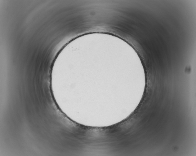 X0000112540950200909141309