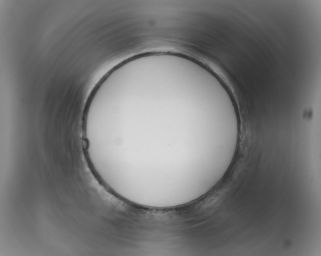 X0000112540951200909141309