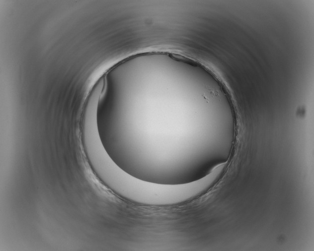 X0000112540952200909141309