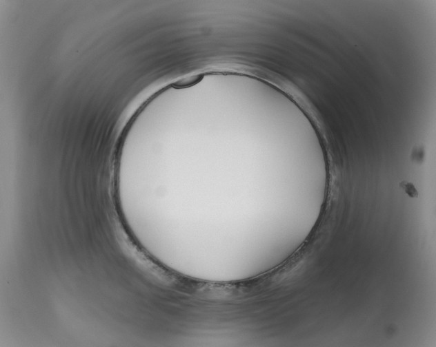 X0000112540955200909141309