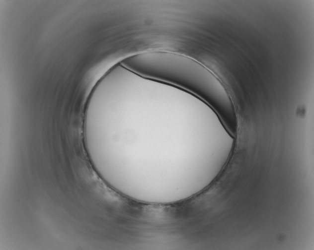 X0000112540956200909141309