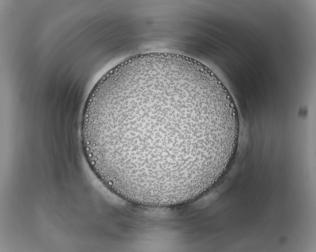 X0000112540957200909141309