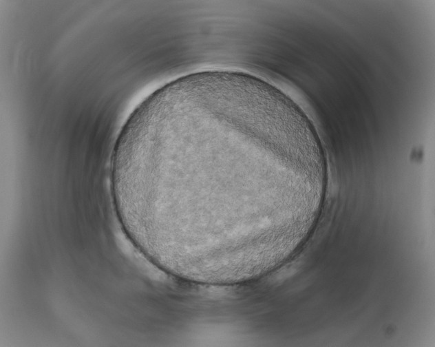 X0000112540958200909141309