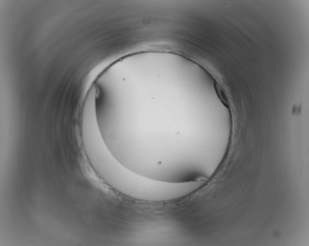 X0000112540960200909141309