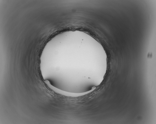 X0000112540961200909141308