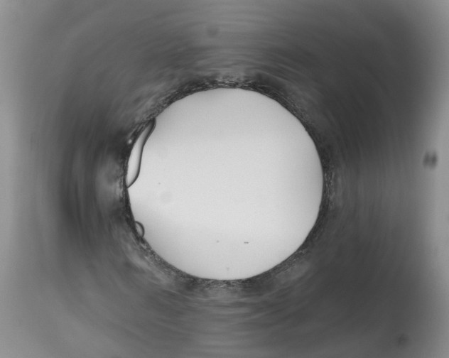 X0000112540962200909141308