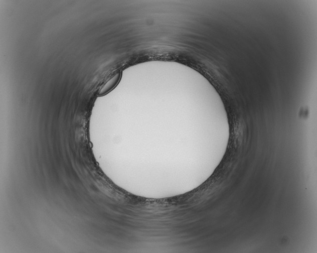 X0000112540964200909141308