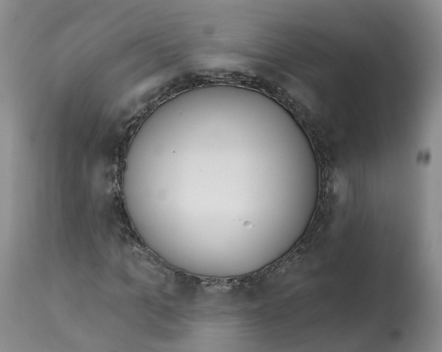 X0000112540965200909141308