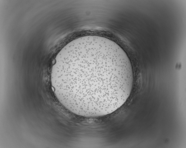 X0000112540966200909141308