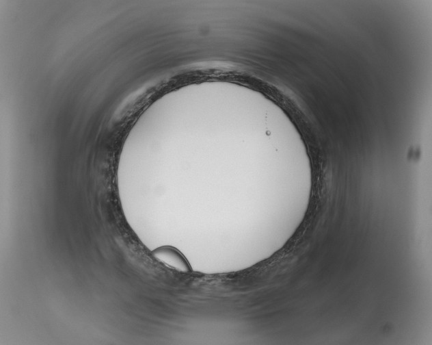 X0000112540967200909141308