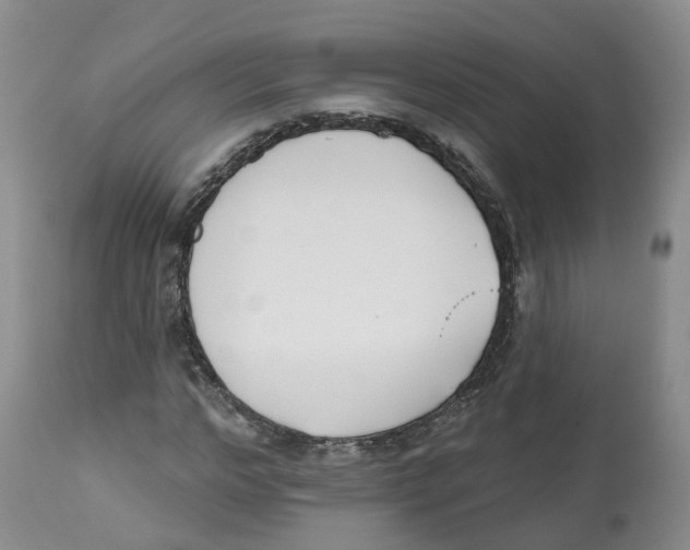 X0000112540968200909141308