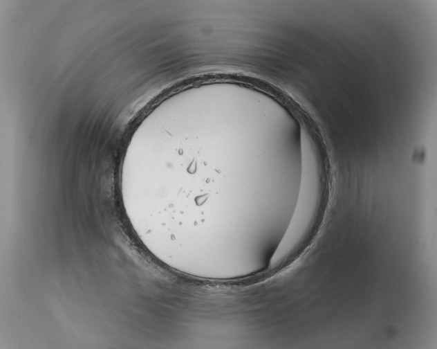 X0000112540969200909141308