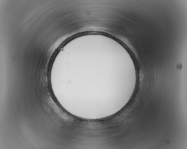 X0000112540972200909141308
